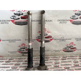 Amortizoare Spate...