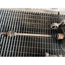 Planetara stanga spate...