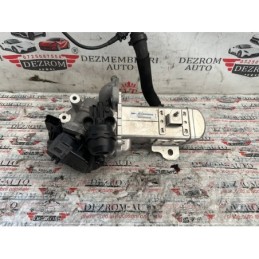 EGR + Racitor Gaze Citroen...