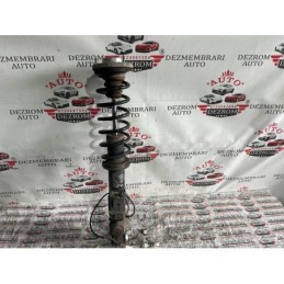 Amortizor dreapta spate...