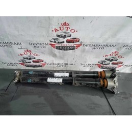 Amortizoare spate...