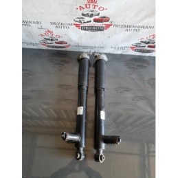 Amortizoare electrice spate...