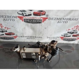 Racitor gaze + EGR 7810166...