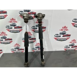 Set amortizoare spate...