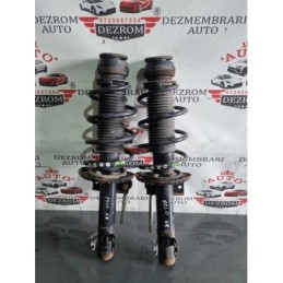 Set amortizoare + arcuri...