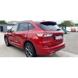 Geam Fumuriu Spate Stanga...