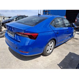 Broasca usa dreapta spate...