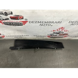 Ornament usa stanga spate...