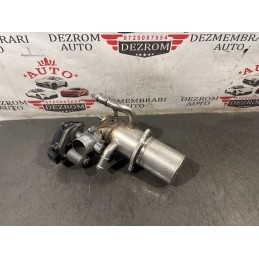 Racitor gaze cu EGR...