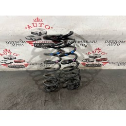 Set arcuri spate 550205639R...