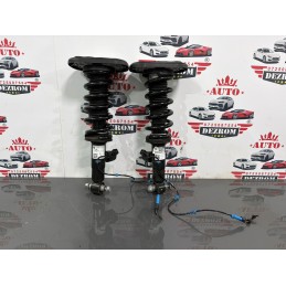 Set amortizoare VDC spate...