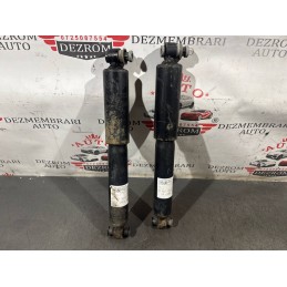 Set amortizoare spate...