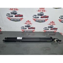 Amortizoare haion electric...