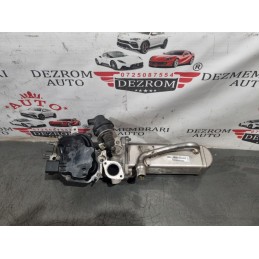 Racitor gaze + EGR...