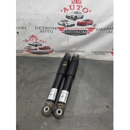 Amortizoare spate...