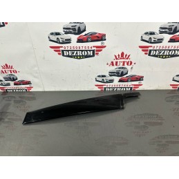 Ornament usa dreapta fata...