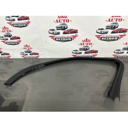 Ornament geam usa dreapta...