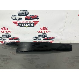 Ornament usa dreapta spate...