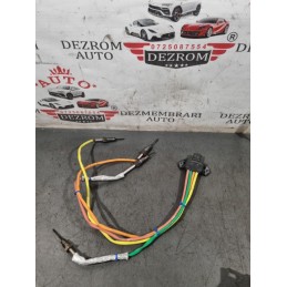 Grup sonde temperatura gaze...