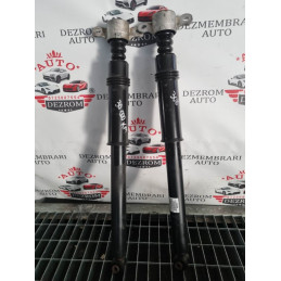 Amortizoare spate originale...