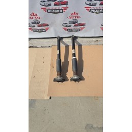 Set amortizoare spate...