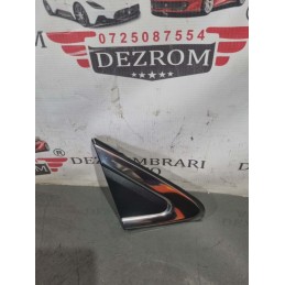 Ornament usa dreapta fata...