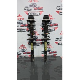 Set amortizoare spate cu...